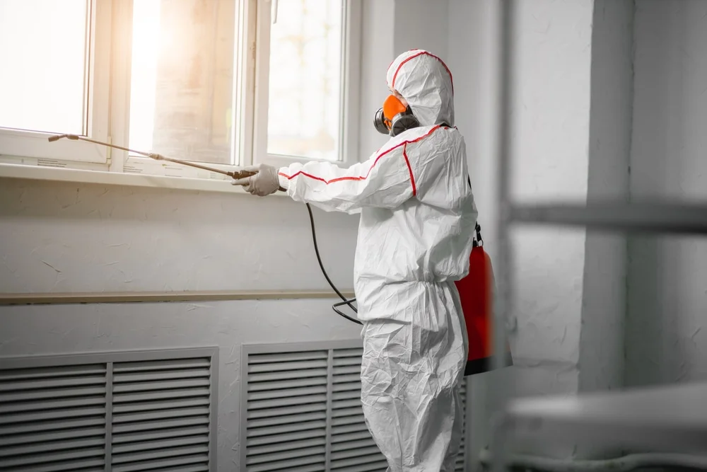 Professional mold remediation services in Patrick Afb, FL